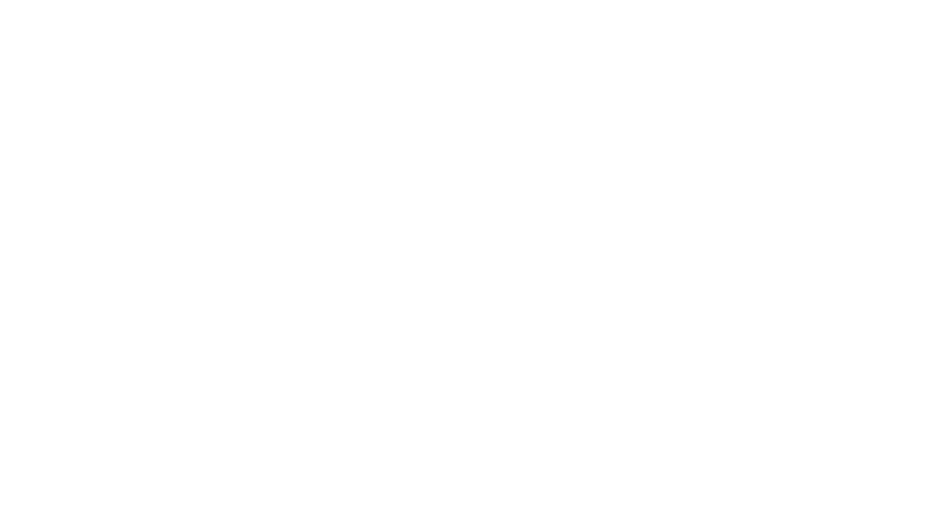 SMLTWN The Label 